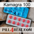 Kamagra 100 new14